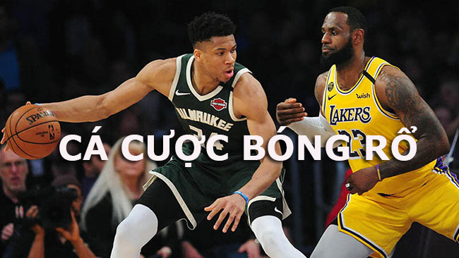 cá cược bóng rổ